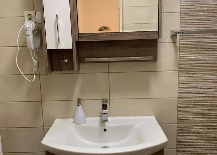 Apartament Nagyfiuk Vendeghaz